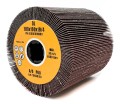Ściernica walcowa listkowa (otworowa) 100x100x19 P60